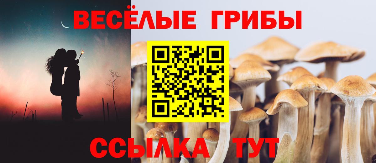 Углич  Псилоцибиновые грибы Psilocybine cubensis  Вход с VPN 